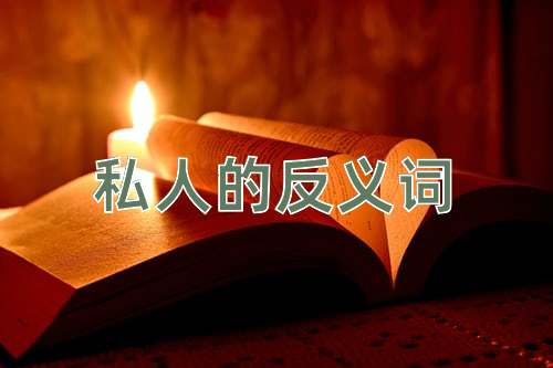 私人的反义词