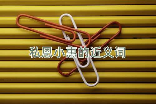 私恩小惠的近义词