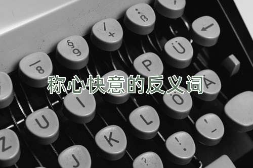 称心快意的反义词
