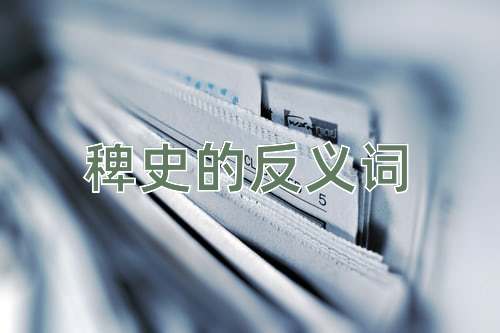 稗史的反义词
