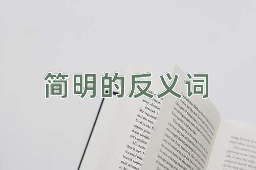简明的反义词