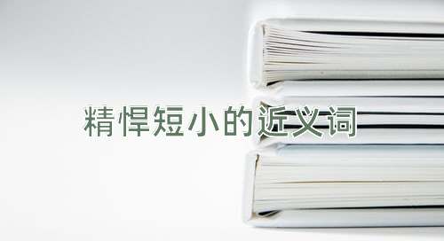 精悍短小的近义词