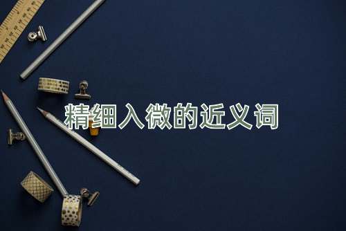 精细入微的近义词