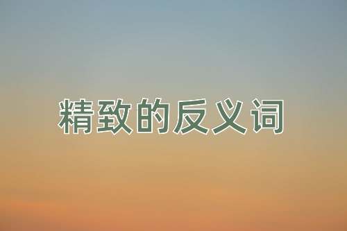 精致的反义词