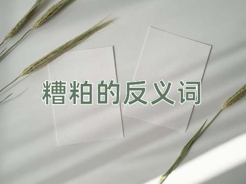 糟粕的反义词