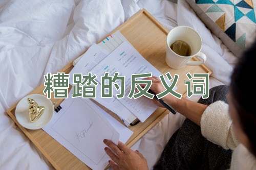 糟踏的反义词