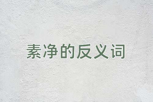 素净的反义词