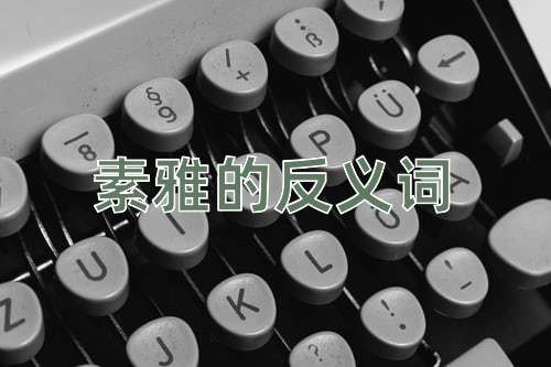 素雅的反义词