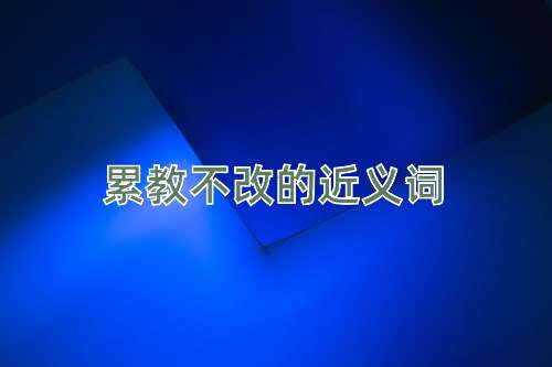 累教不改的近义词