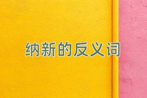 纳新的反义词