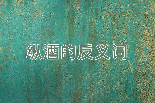 纵酒的反义词