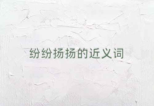 纷纷扬扬的近义词
