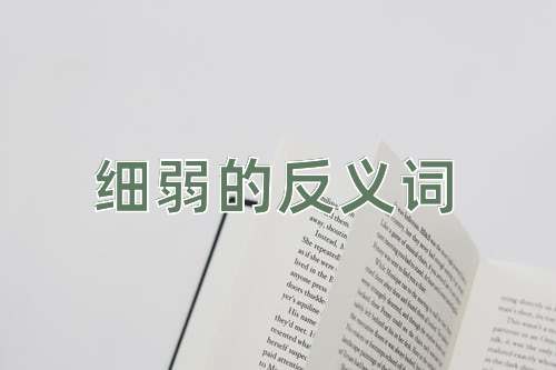 细弱的反义词