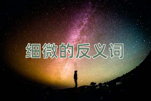 细微的反义词