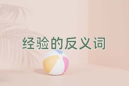 经验的反义词