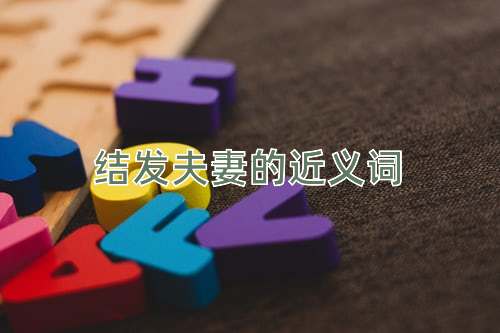 结发夫妻的近义词