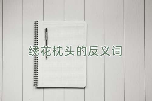 绣花枕头的反义词