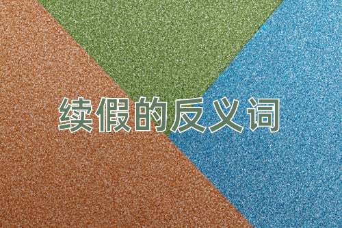 续假的反义词