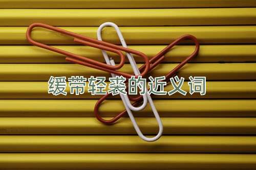 缓带轻裘的近义词
