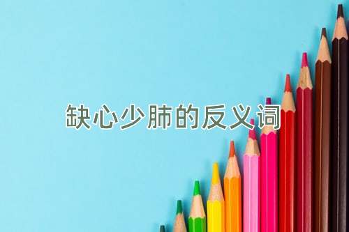 缺心少肺的反义词
