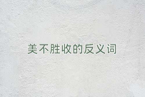 美不胜收的反义词