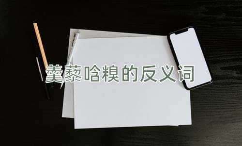 羹藜唅糗的反义词