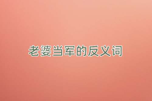 老婆当军的反义词