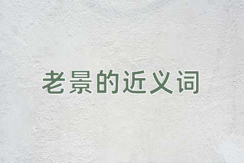 老景的近义词
