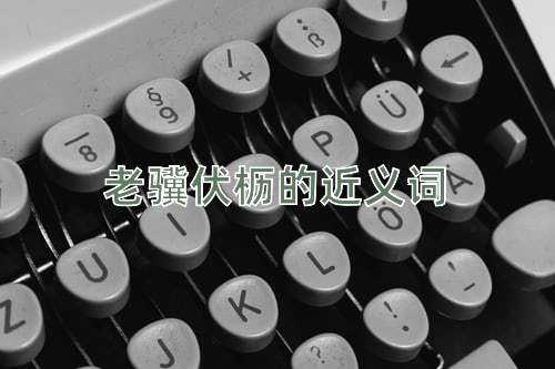 老骥伏枥的近义词