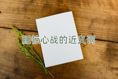胆惊心战的近义词