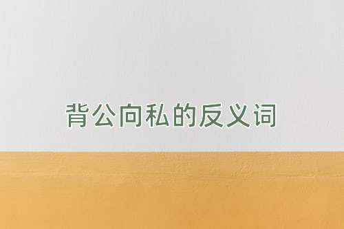 背公向私的反义词