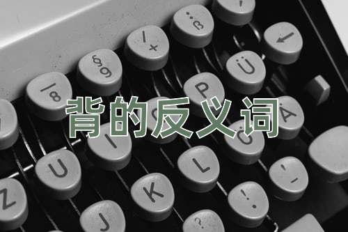 背的反义词