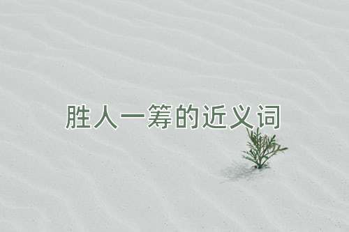 胜人一筹的近义词