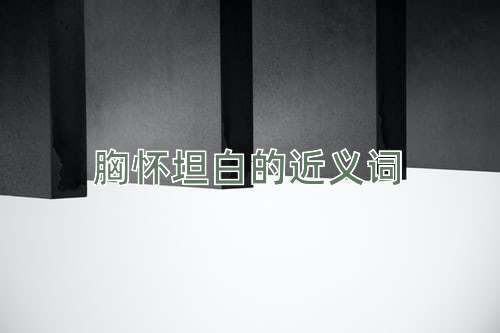 胸怀坦白的近义词