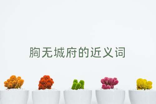 胸无城府的近义词
