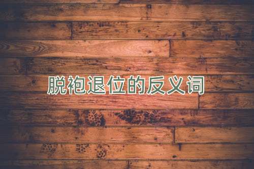 脱袍退位的反义词