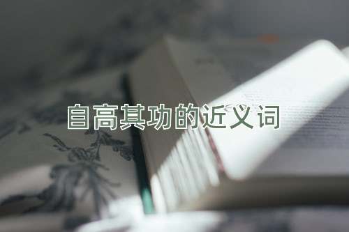 自高其功的近义词