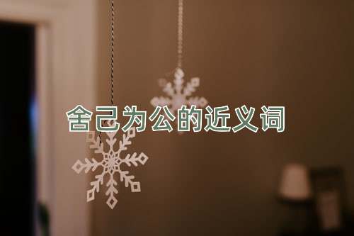 舍己为公的近义词