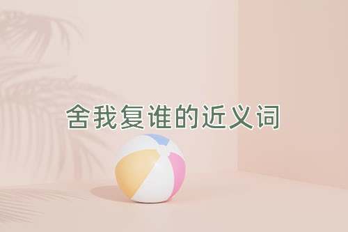 舍我复谁的近义词