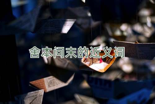 舍本问末的近义词