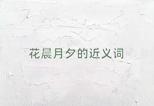 花晨月夕的近义词