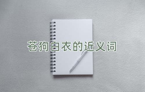 苍狗白衣的近义词