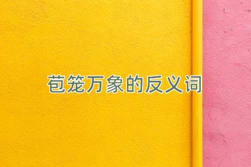 苞笼万象的反义词