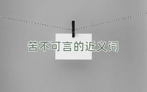 苦不可言的近义词