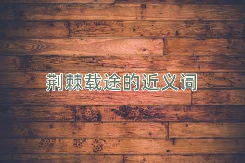 荆棘载途的近义词