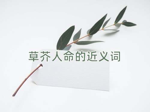 草芥人命的近义词