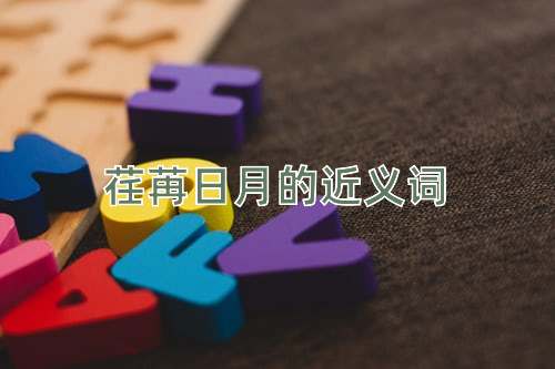 荏苒日月的近义词