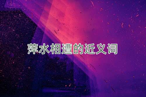 萍水相遭的近义词