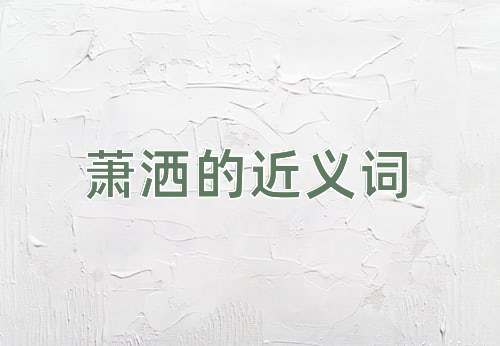 萧洒的近义词