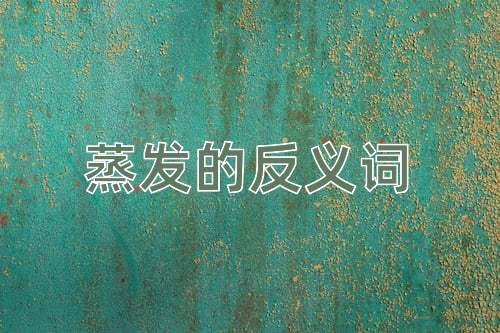 蒸发的反义词